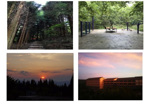 1532945282463366.jpg 9-4.jpg