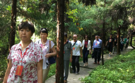 1533947622131694.png 图片5.png