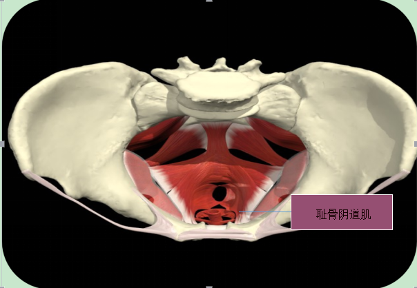 TIM图片20181024172020.png