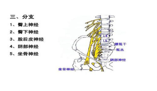 图片21.png