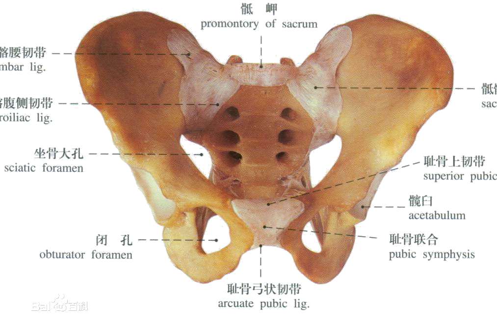 康复2(1).jpg