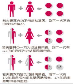 1620375837784684.jpg 2.jpg