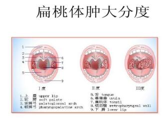 QQ截图20210603164255.jpg