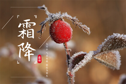 1698631030713337.png 11.png