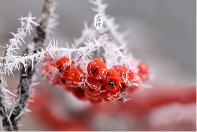 1698631069572494.png 11-1.png