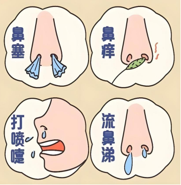 17902374793ee36b09a6.png image.png