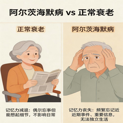 17918746633943a40013.png image.png